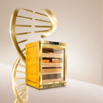 Großhandel Kleiner Humidor