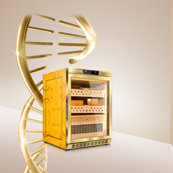 Großhandel Kleiner Humidor